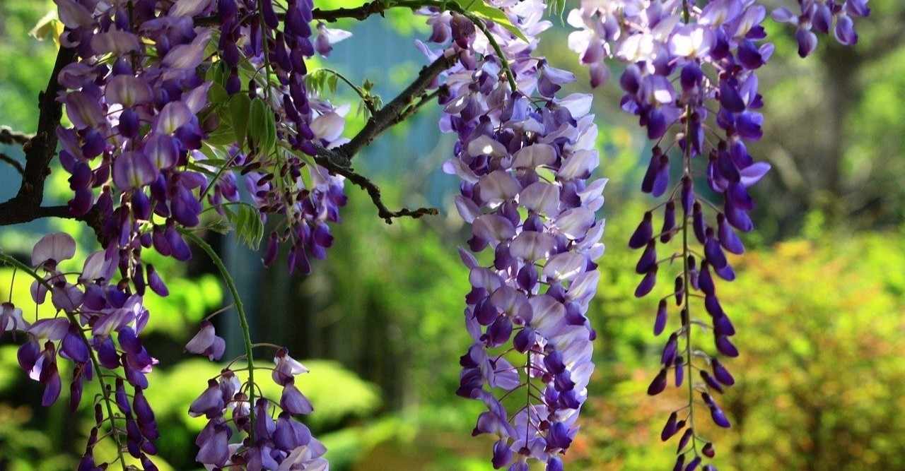 bcdeの色見本とカラーコード の新着タグ記事一覧 Note つくる つながる とどける