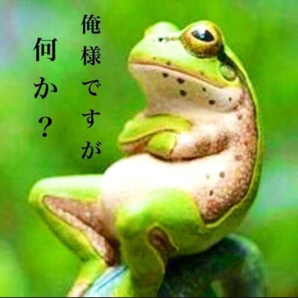 必ずプロフィール読んでください★nomiページ そういえばnoteでは自己紹介ってしてなかったね｜おきく