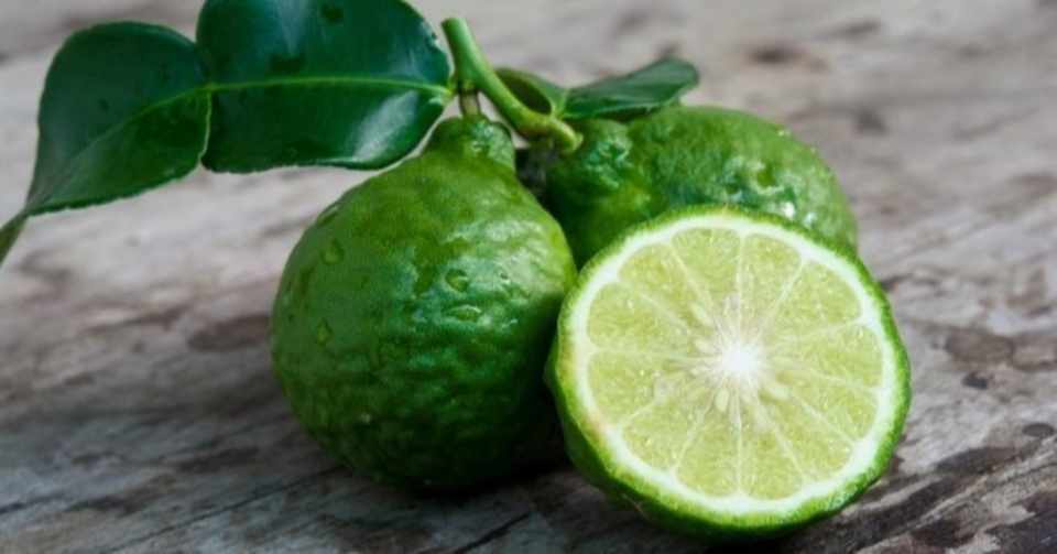 ベルガモット エッセンシャルオイル 精油のプロフィール Aromaspirit Note