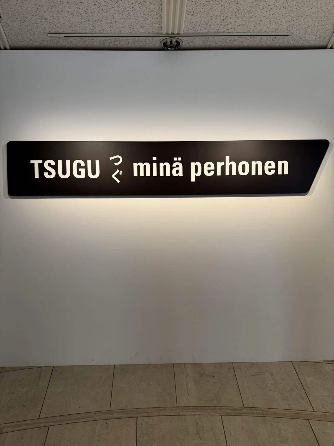 アート巡り記】TSUGUつぐ minä perhonen ＠世田谷美術館 2026.1.25訪問