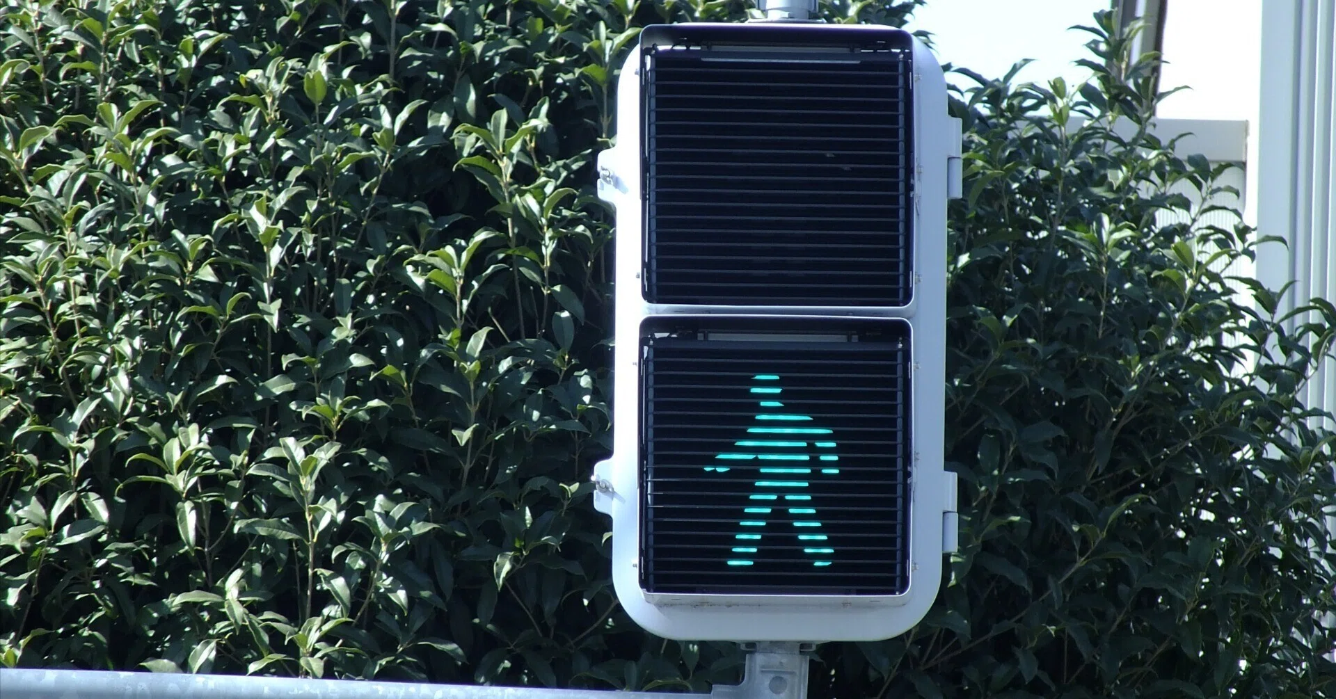 K19-132】本庄市西富田(北)にある信号電材薄型曇りレンズ四角制限