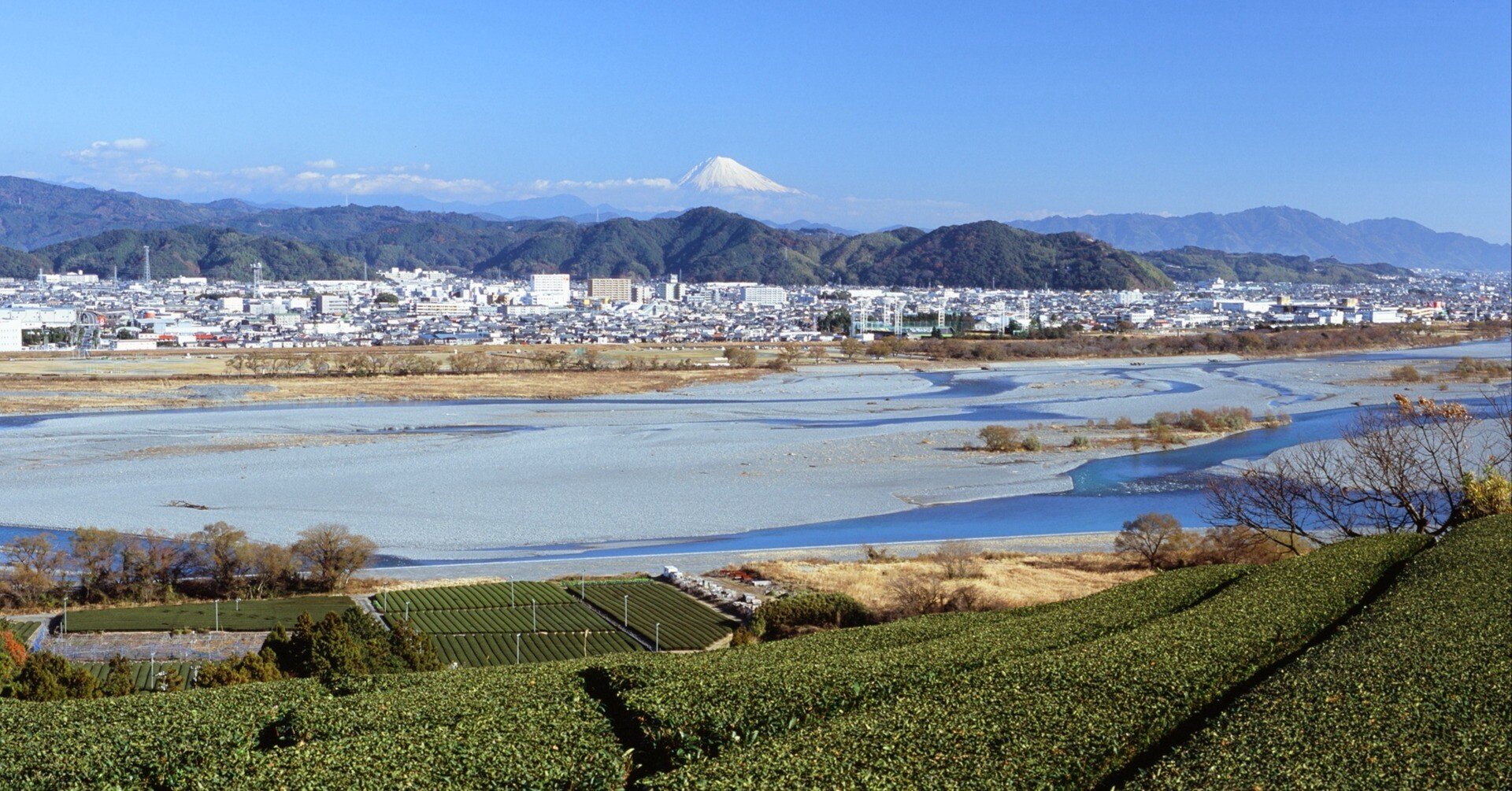 島田の茶畑から眺める冬の富士山 ～撮影旅行よもやま話集～｜綺麗な