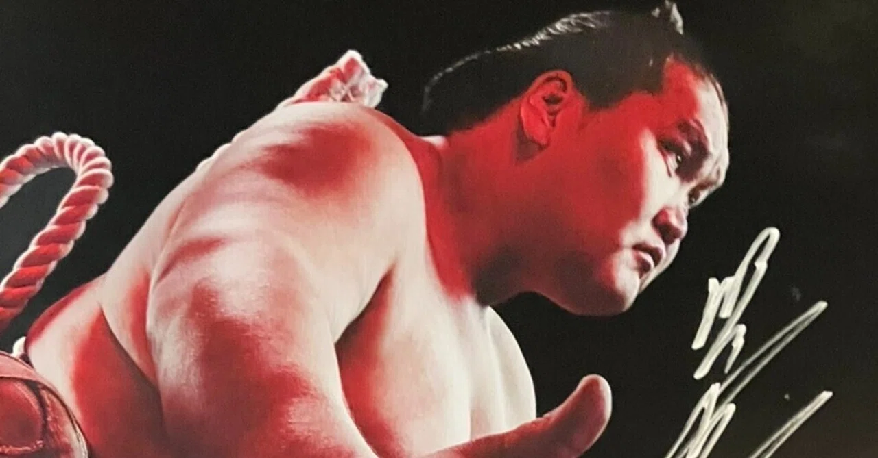 写真】照ノ富士引退伊勢ヶ濱襲名披露大相撲｜keita