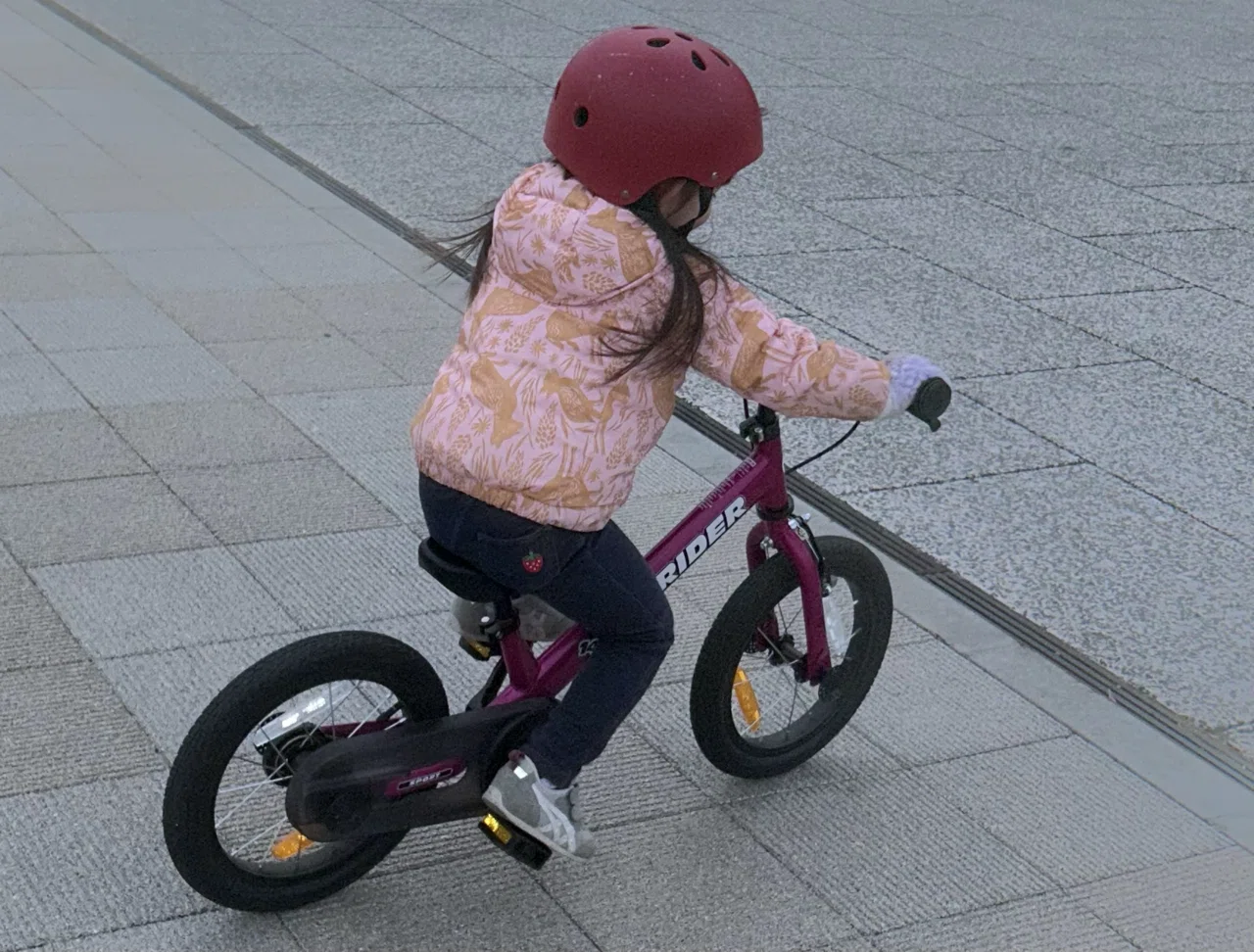 STRIDER 幼児用自転車 青 補助輪付き ストライダースポーツモデル（全7色） – STRIDER JAPAN