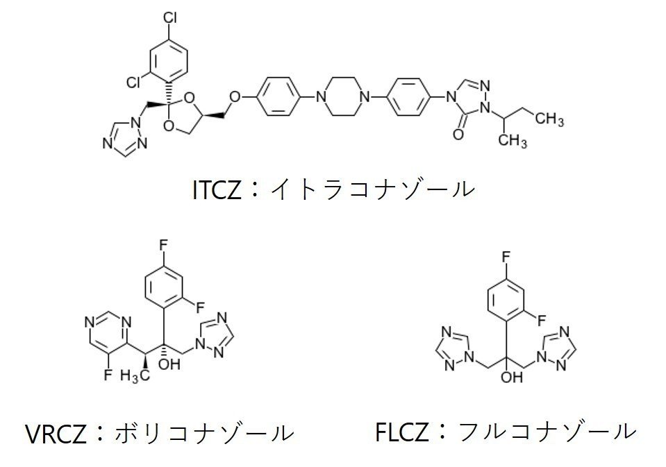 ポリエン系抗真菌薬 Polyene antimycotic JapaneseClass.jp