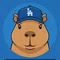 かぴまる｜MLB情報