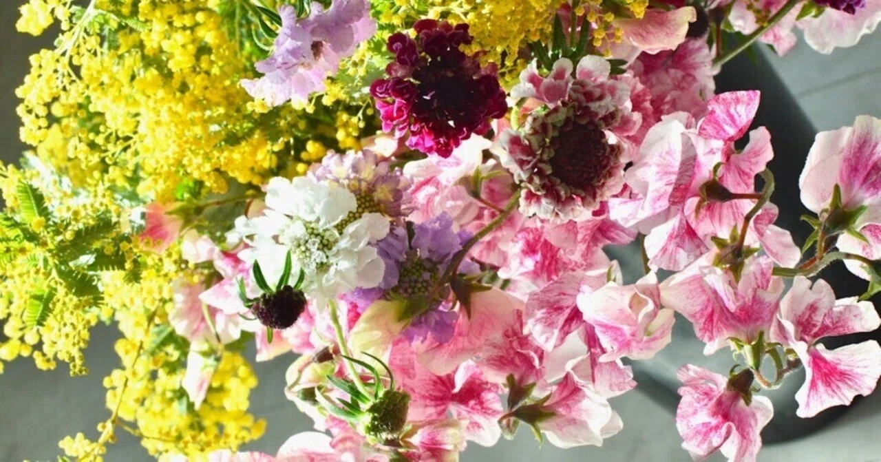 May flowers bloom in heaven, may fruits ripen on earth｜熊谷珠樹