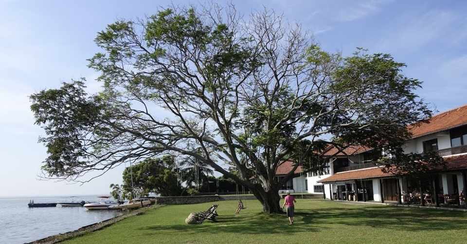 かっこいい自分を嫌いになって また好きになれたの話 ゆーた アジアのスタートアップ4年目 Note