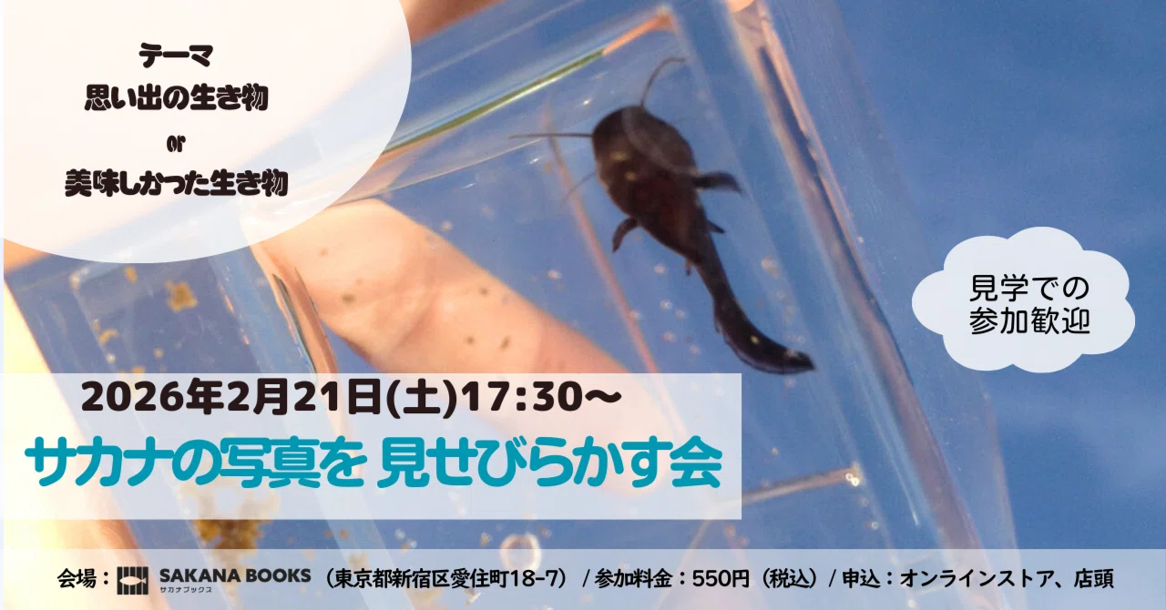 第8回サカナの写真を見せびらかす会🐟 開催！【2/21(土) 17:30