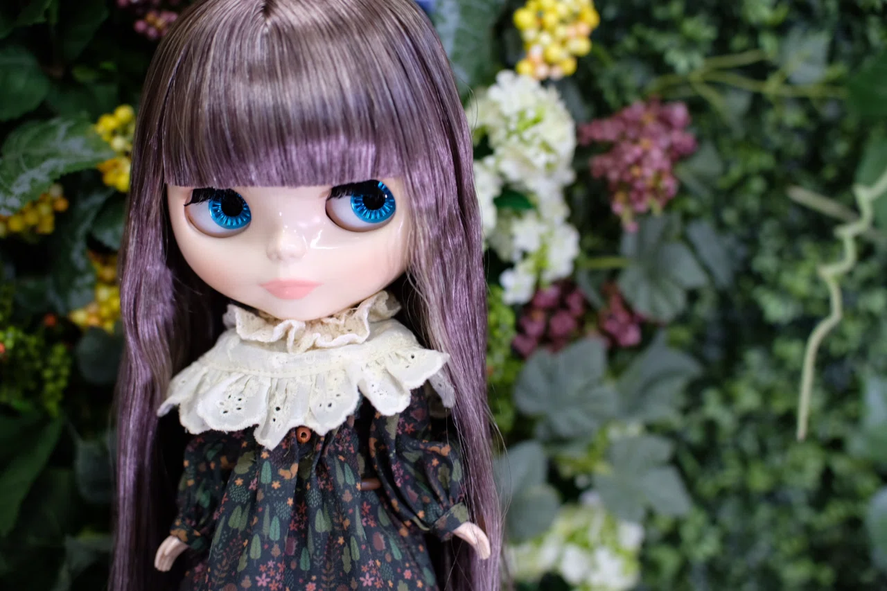 ブライスちゃんをかわいく撮りたいっ！！（修行中）｜るちゃどぉる 