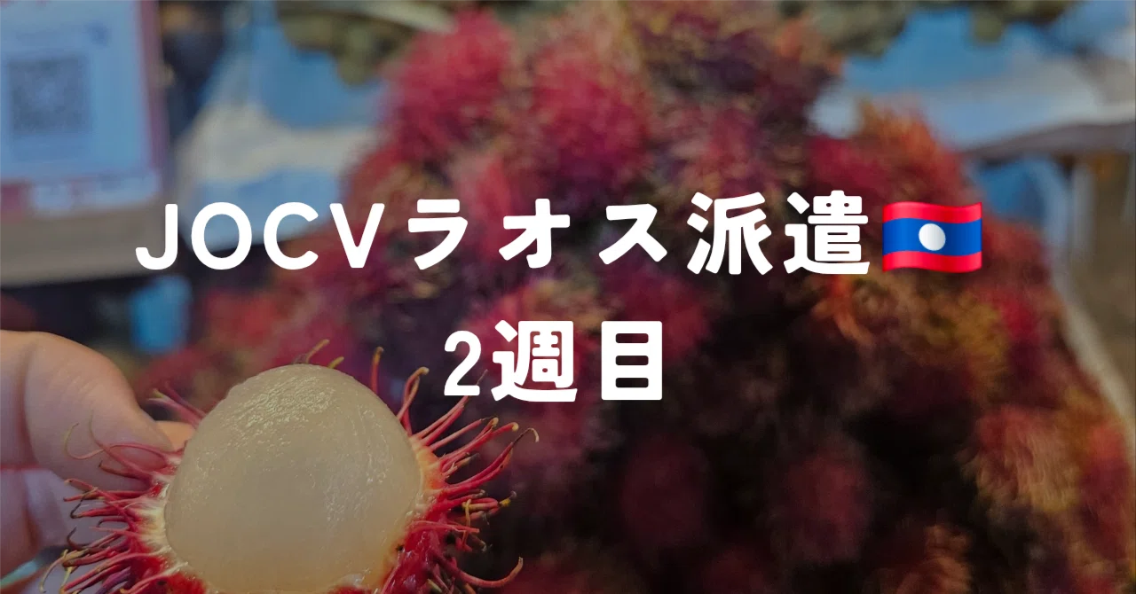 JOCVラオス派遣🇱🇦2週目｜菅生晶子／ランナー／すごー