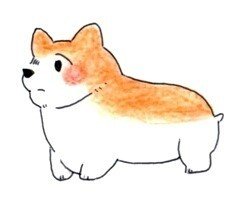 コーギーって可愛いですよね せん Note コーギーって可愛いですよね せん Note
