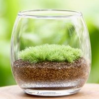 苔の土は何が良い 苔むすび Note