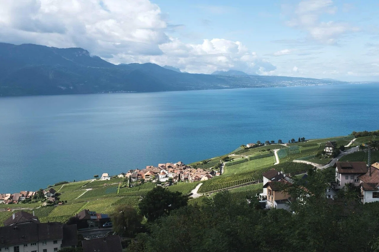 2025年夏の欧州旅】#15🇨🇭 レマン湖畔のぶどう畑を歩く絶景ハイキング