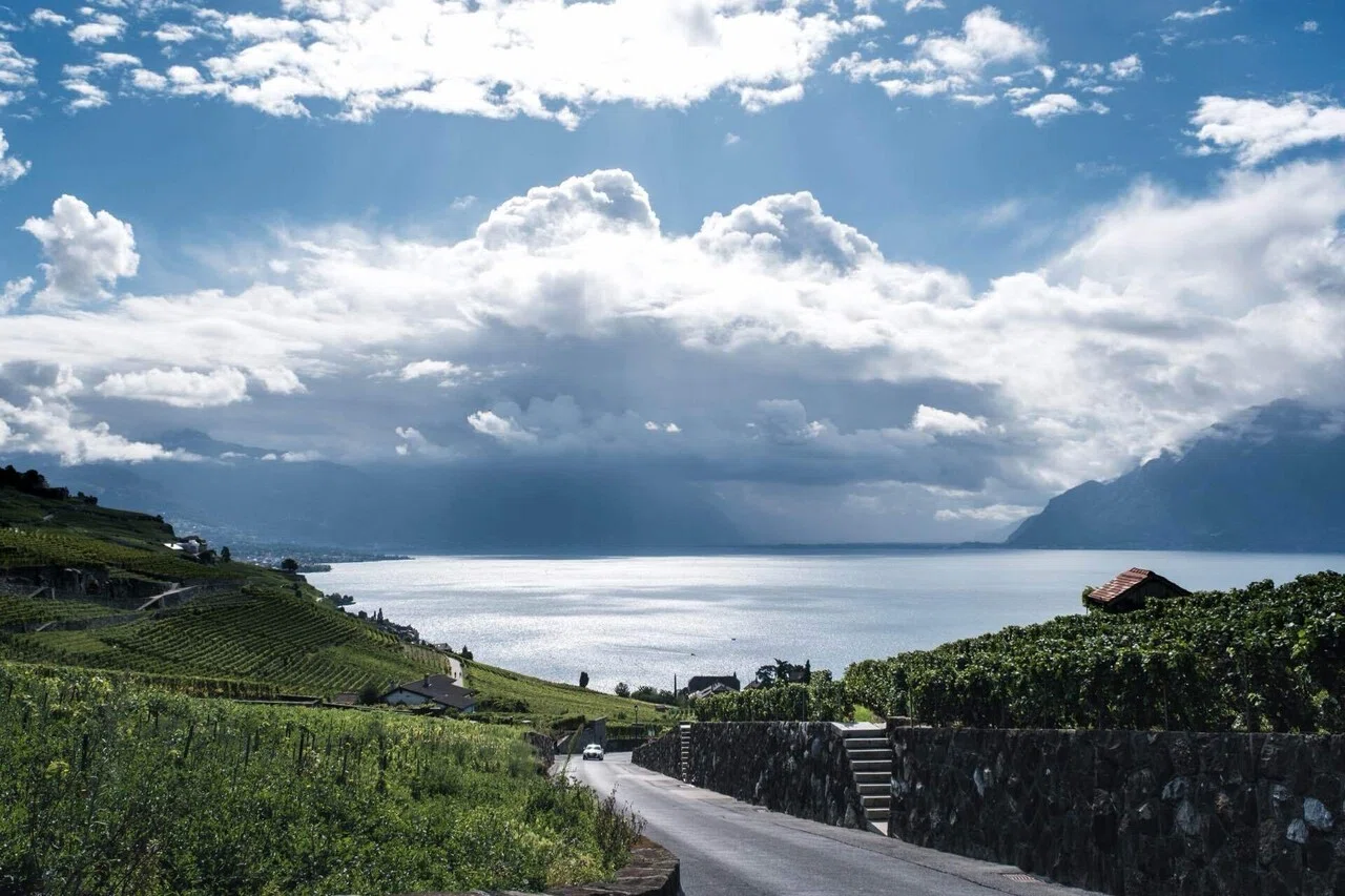 2025年夏の欧州旅】#15🇨🇭 レマン湖畔のぶどう畑を歩く絶景ハイキング