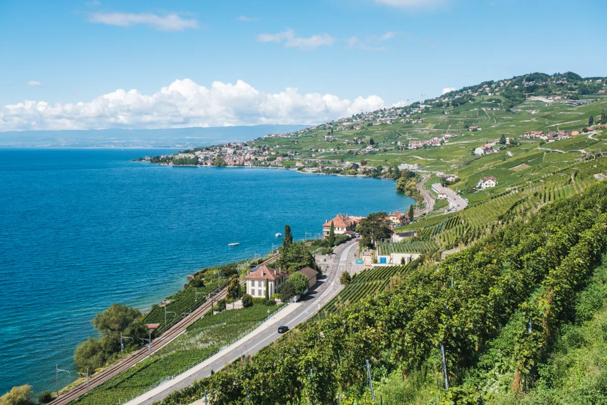リヴァイアモン　４枚 2025年夏の欧州旅】#15🇨🇭 レマン湖畔のぶどう畑を歩く絶景ハイキング
