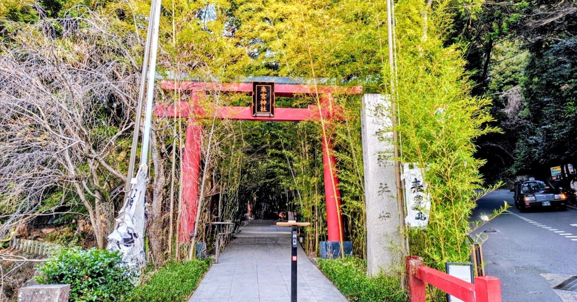 本州1位の巨樹が鎮座する來宮神社（静岡県熱海市）へ行ってきました