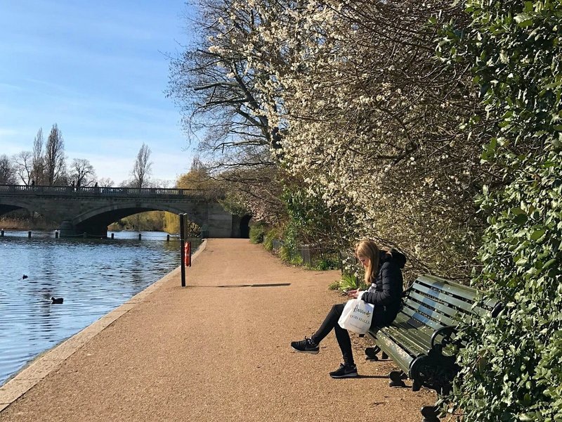 ロンドン　　川　公園