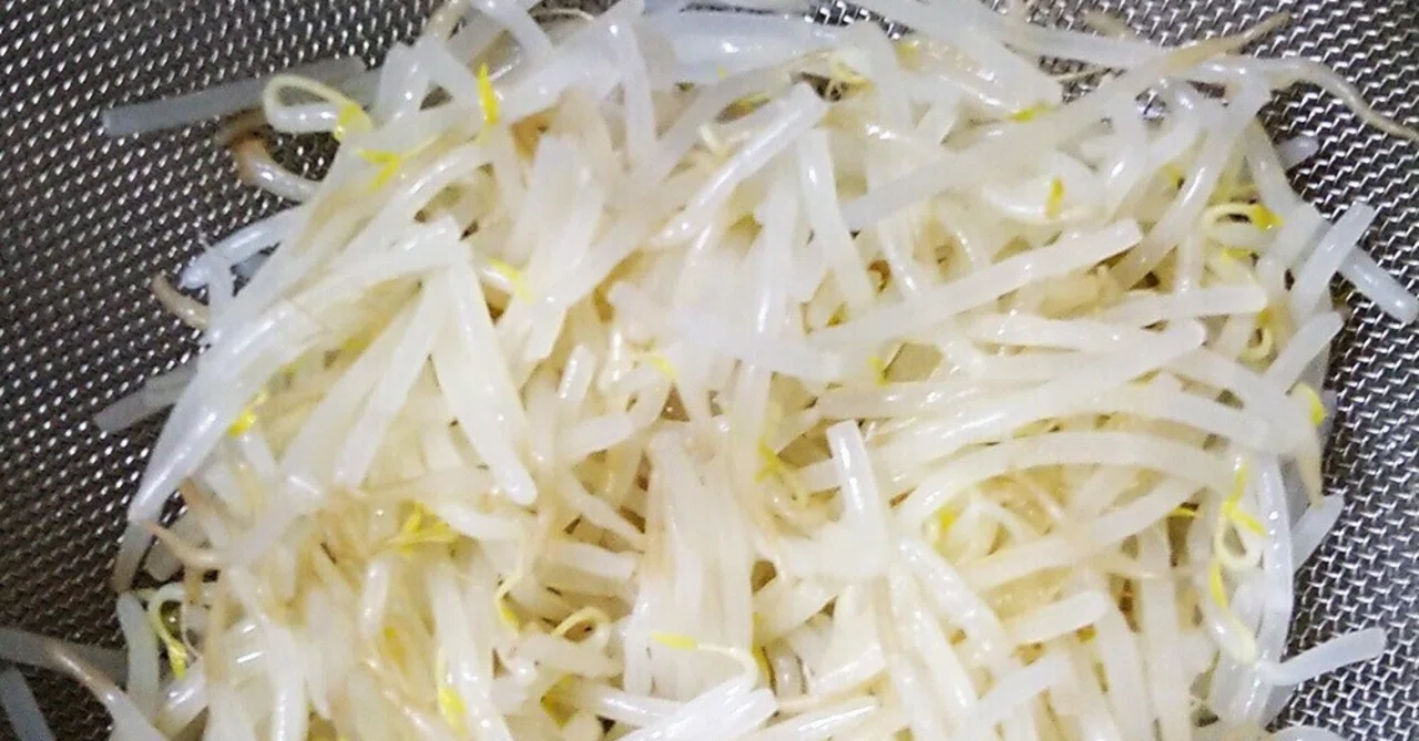 The '3-Minute Void Recipes Without a Cutting Board' That Saved Me from ...