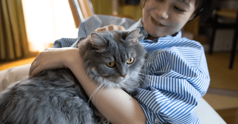 洋服を買って豊かになって欲しい