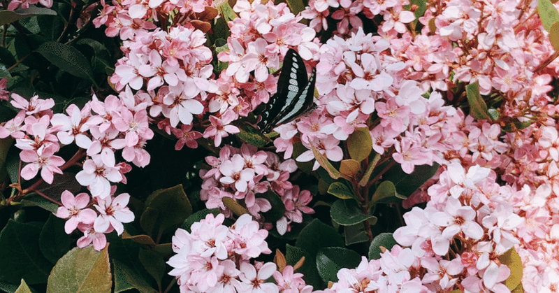 5月5日