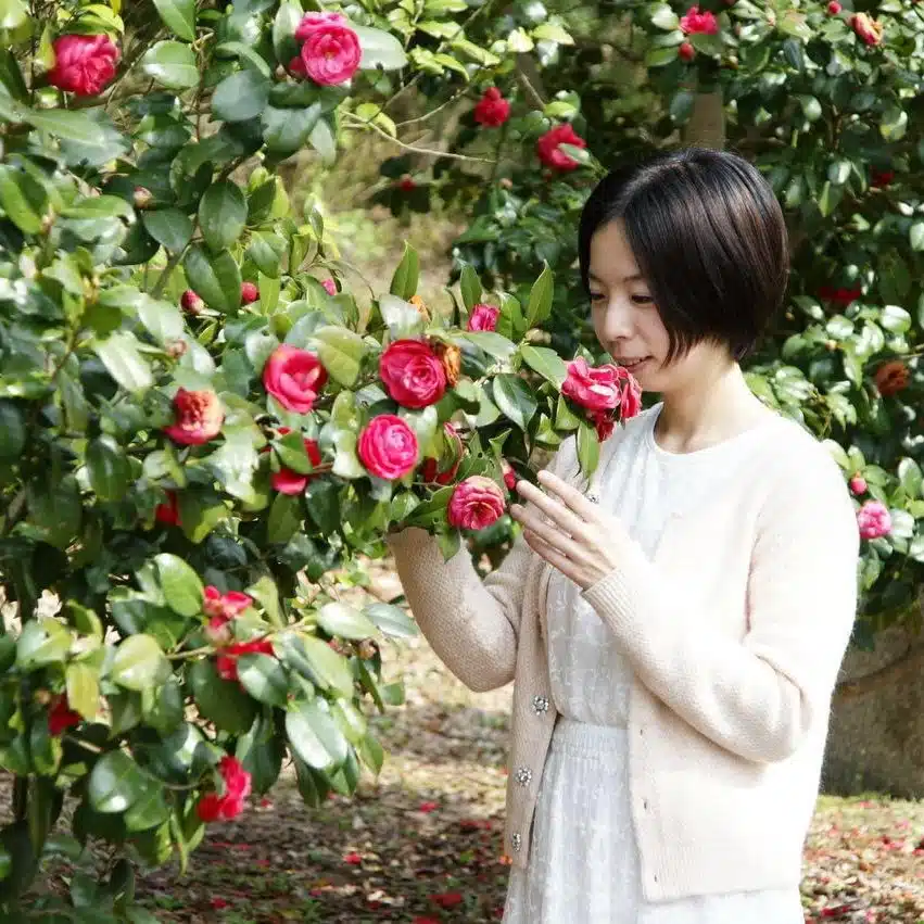 椿 由紀(Yuki Tsubaki)