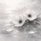滓川 芥