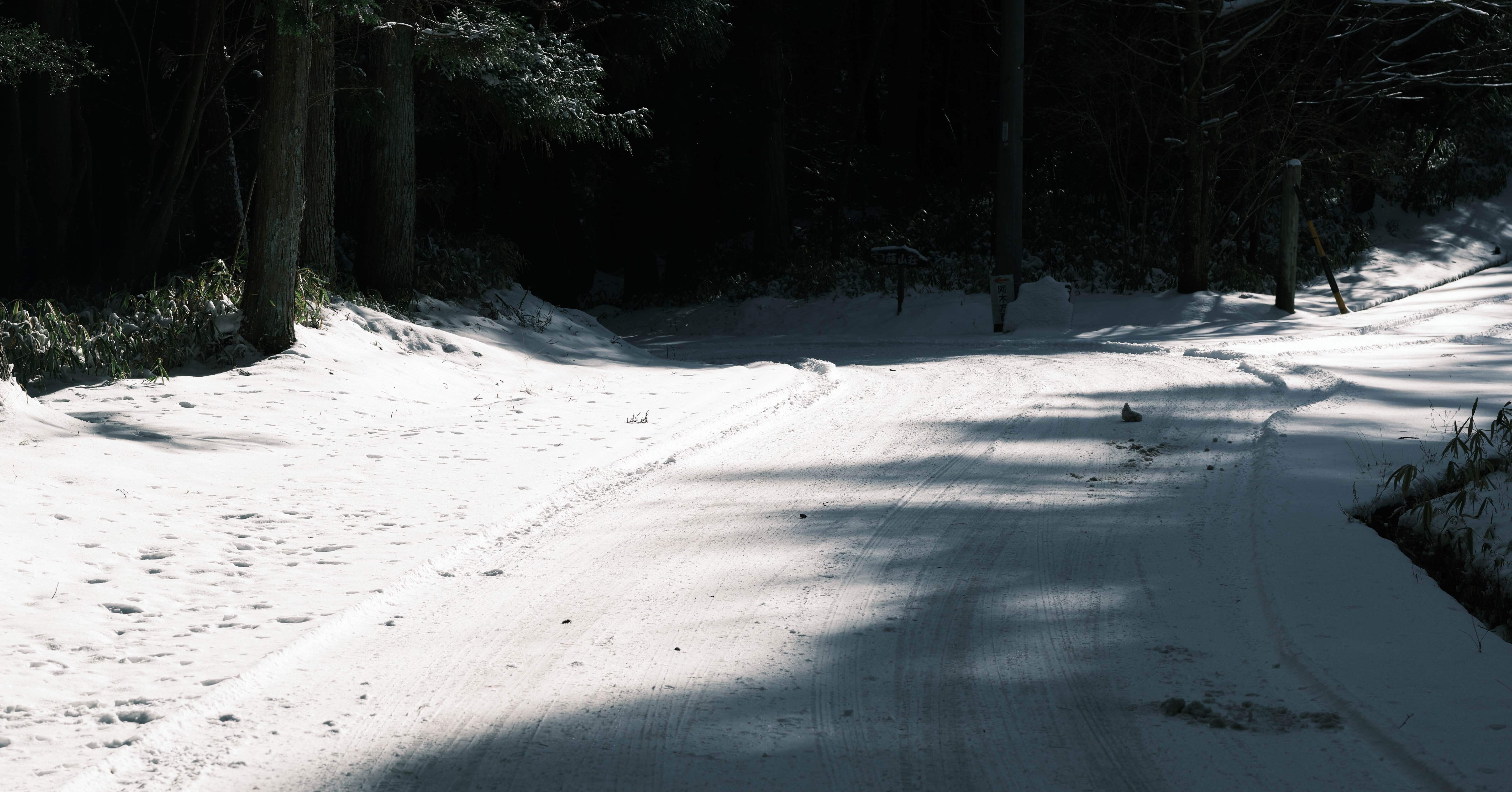 雪がよく降る2026｜yuka