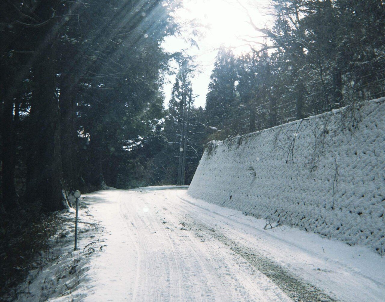 雪降る日 雪がよく降る2026｜yuka