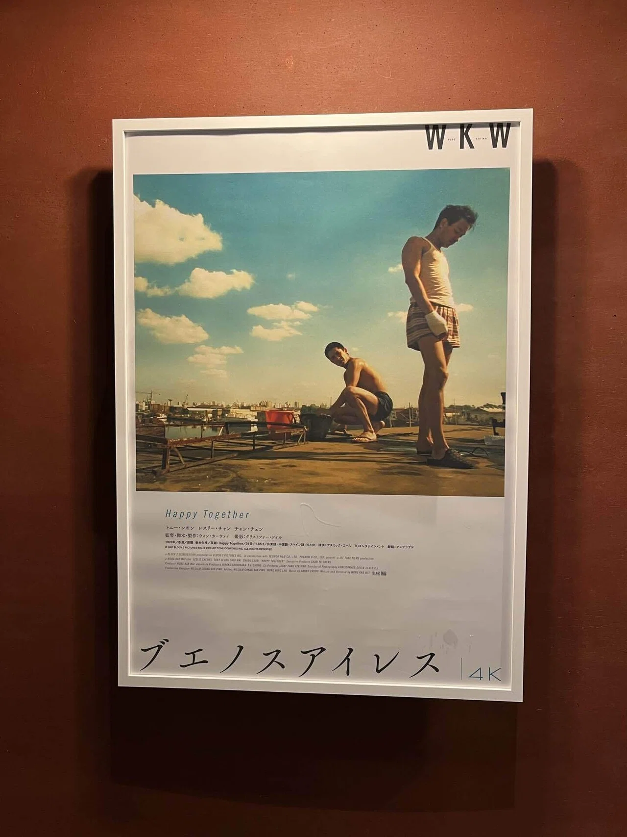 映画感想】『ブエノスアイレス/春光乍洩』〜イグアスの滝に何を捨てる
