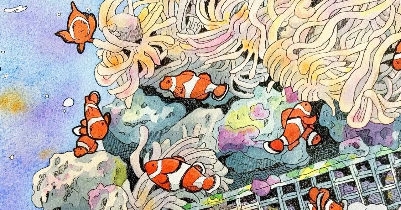 共生の美しい生き物たち｜鈴木