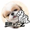 Maeno Merry Z
