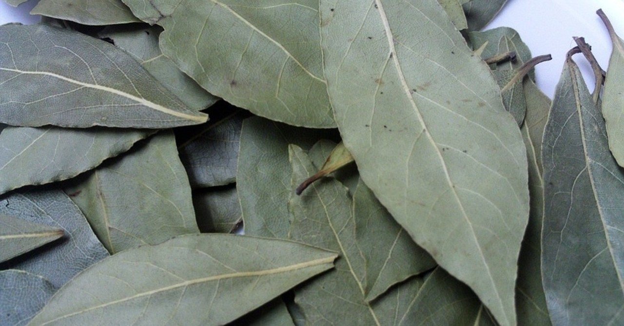 ローレル エッセンシャルオイル 精油のプロフィール Aromaspirit Note ローレル エッセンシャルオイル 精油のプロフィール Aromaspirit Note