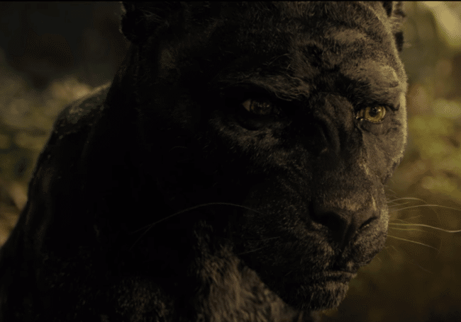 映画感想 実写版アラジン 実写版ライオンキング ネタバレ有り 椎葉伊作 Note 映画感想 実写版アラジン 実写版ライオンキング ネタバレ有り 椎葉伊作 Note