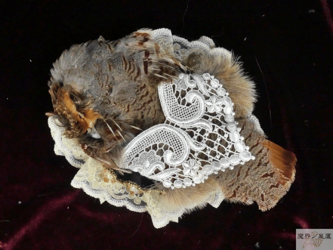 2026/02/01 風鷹通販更新情報｜風鷹