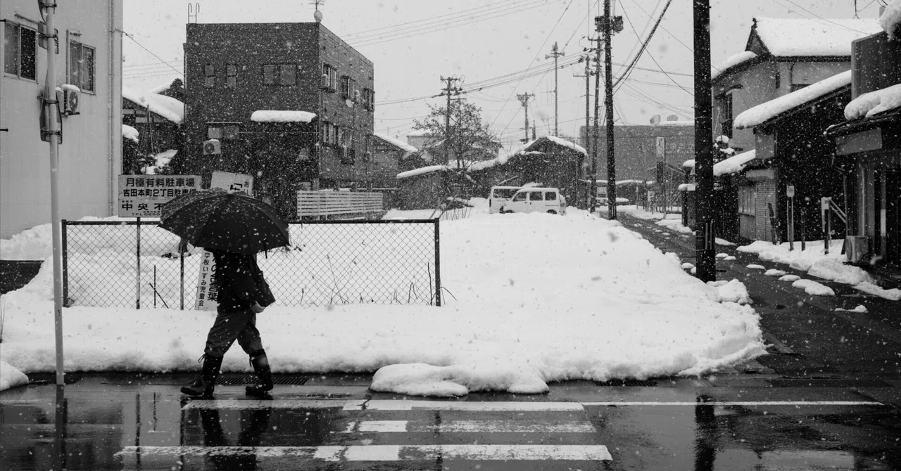 雪 FUJIFILM X-E5 / ACROSで写す雪の日｜chiba