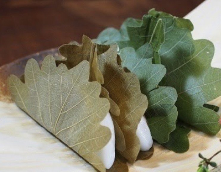柏餅食べた 柏の葉は何色 で包んでた 魔女ビネ Yuuca Note 柏餅食べた 柏の葉は何色 で包んでた 魔女ビネ Yuuca Note