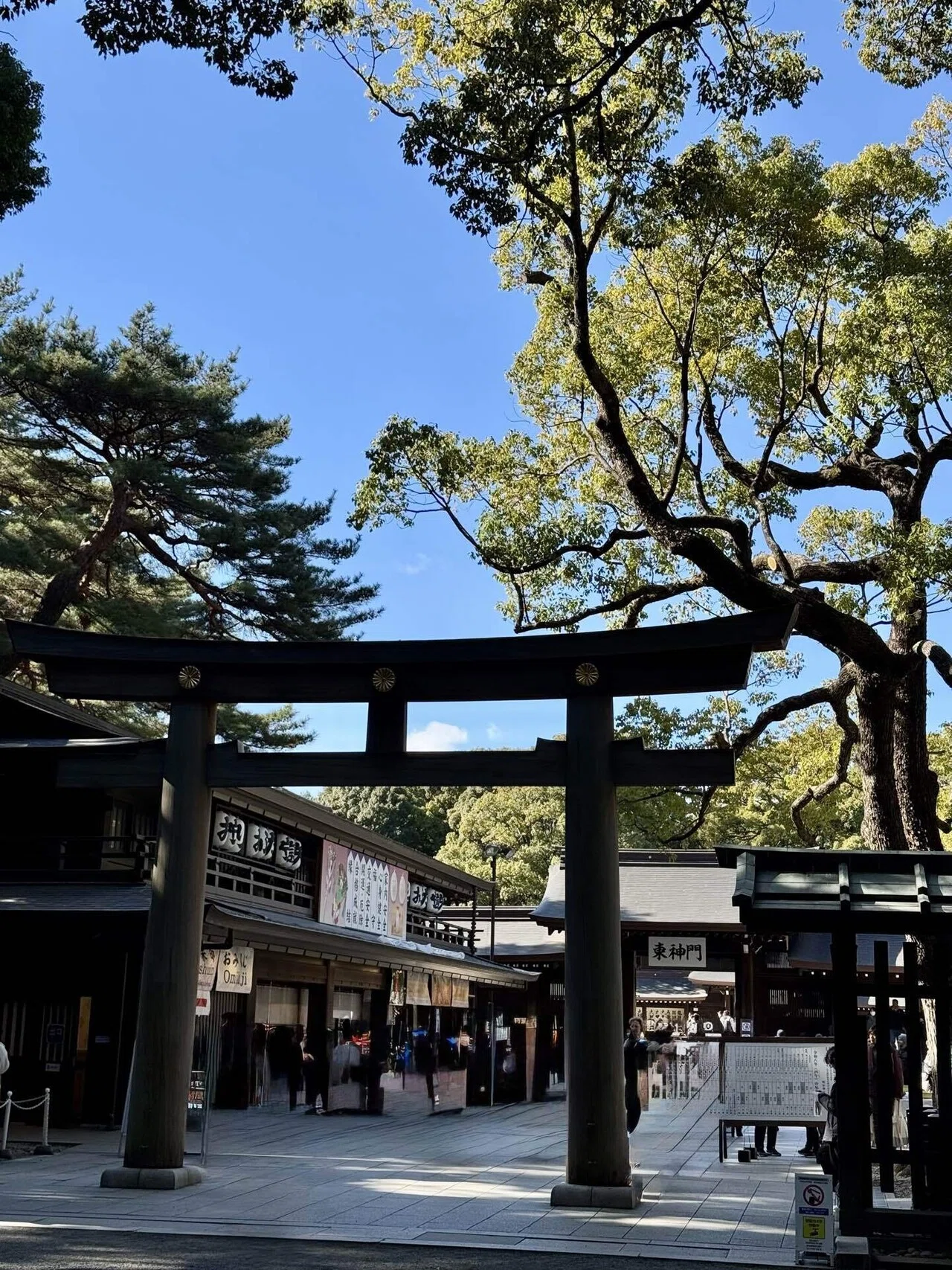 明治神宮②都会の杜でリセット。明治神宮参拝と、心に深く刺さった「大