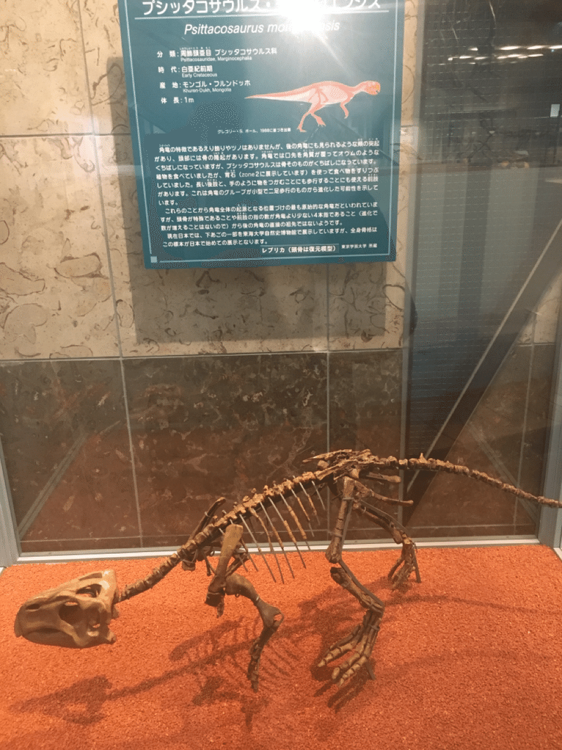 恐竜って R103 Note