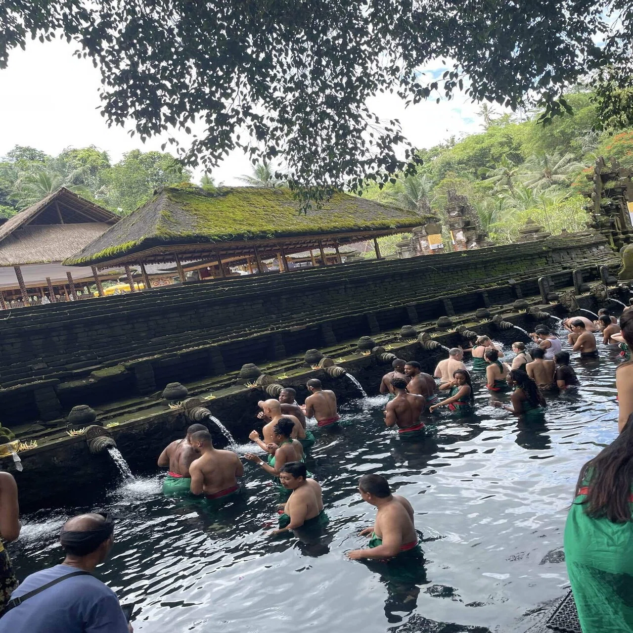 バリ島一人旅③ティルタウンプル｜かすたけ