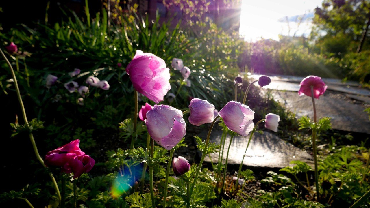 カメラ女子必見 ライカの入門機 Leica D Lux7作例レビューその 東京 渋谷 旅するフォトグラファー スナップガール Note カメラ女子必見 ライカの入門機 Leica D Lux7作例レビューその 東京 渋谷 旅するフォトグラファー スナップガール Note