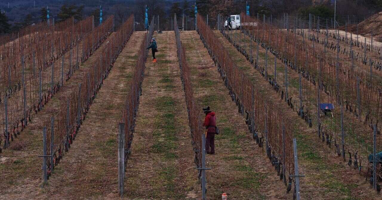 ショコラ玉✖️周五郎