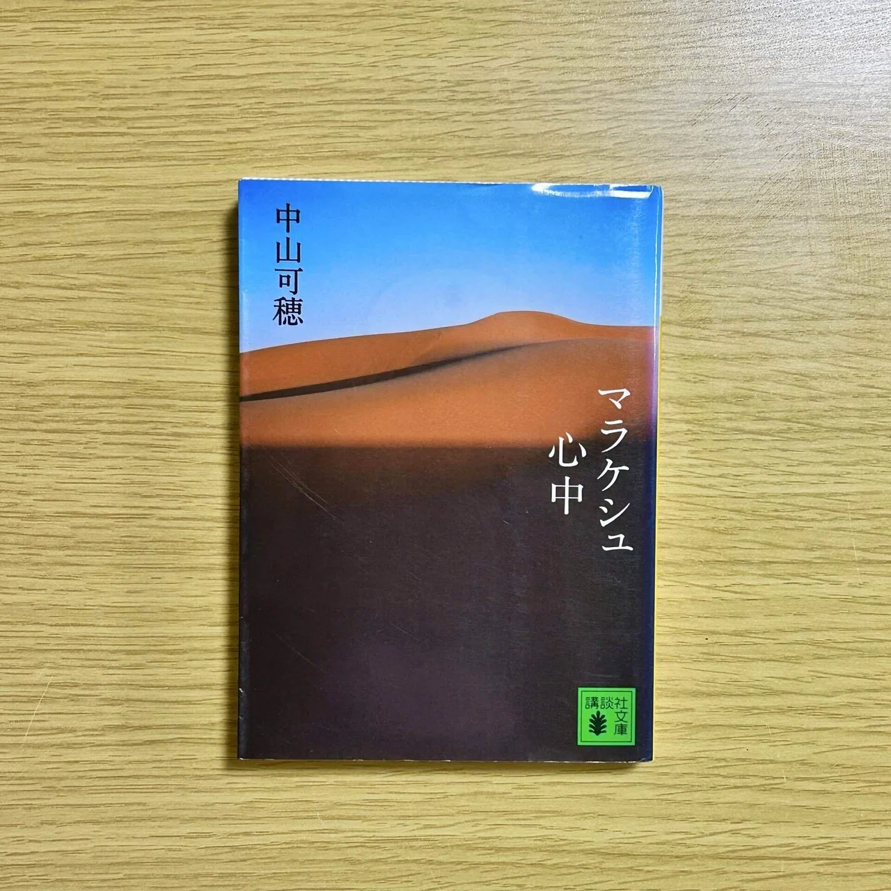 マラケシュ心中/中山可穂』を読んで｜おかき