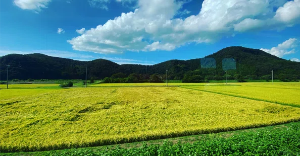 健康の原点|note