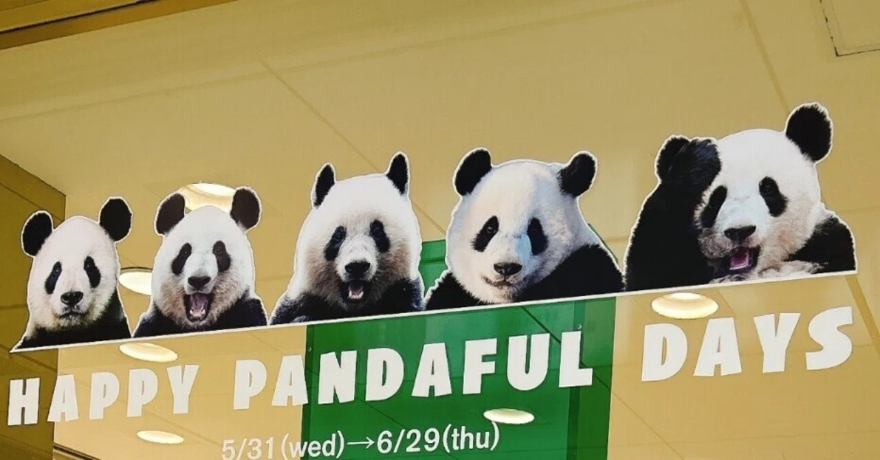 わたしとパンダ｜ぽてと