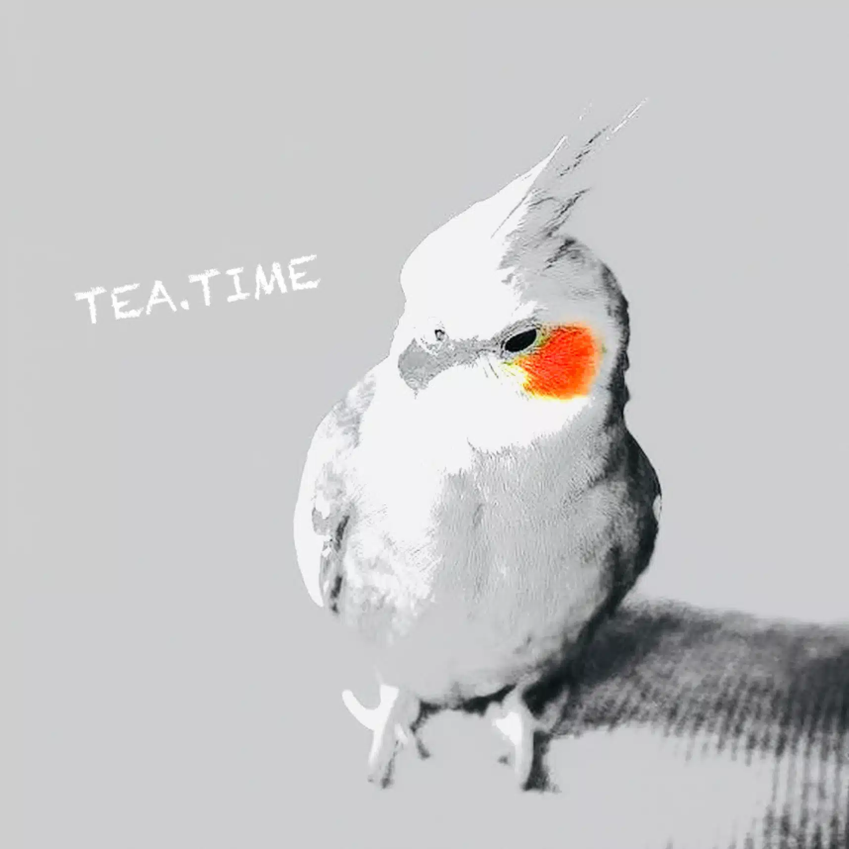 tea.time