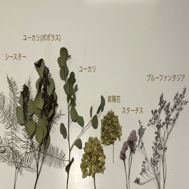 紫陽花、ユーカリを使ってフライングリース｜ハナジタク花学校