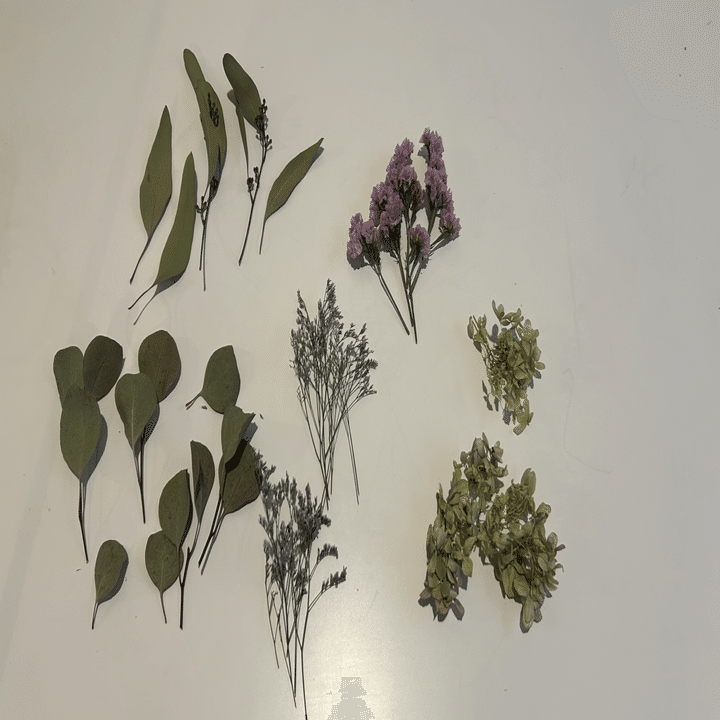 紫陽花、ユーカリを使ってフライングリース｜ハナジタク花学校