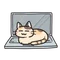 こまめさん