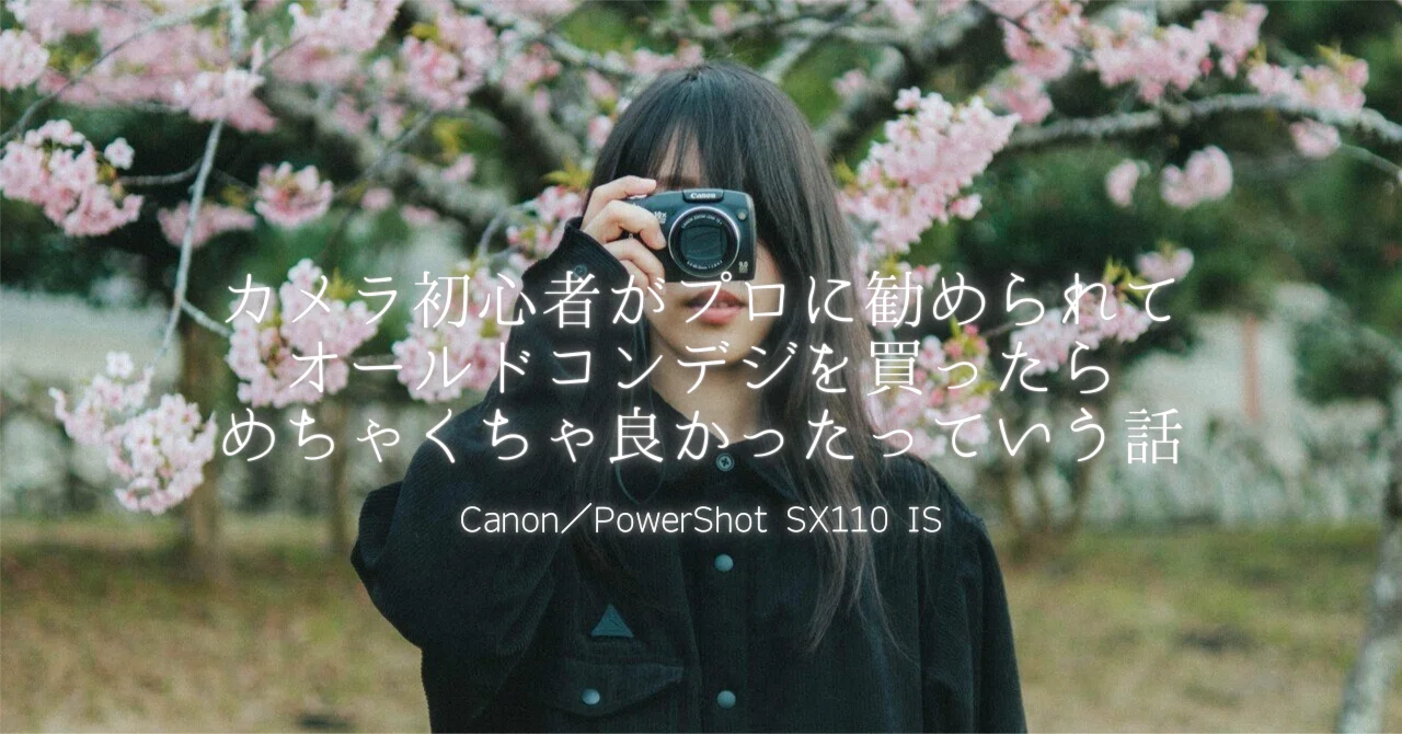 【完動美品】 Canon PowerShot A80 オールドコンデジ 単三電池 Canon PowerShot A80 4.0MP Digital Camera - Silver TESTED - W